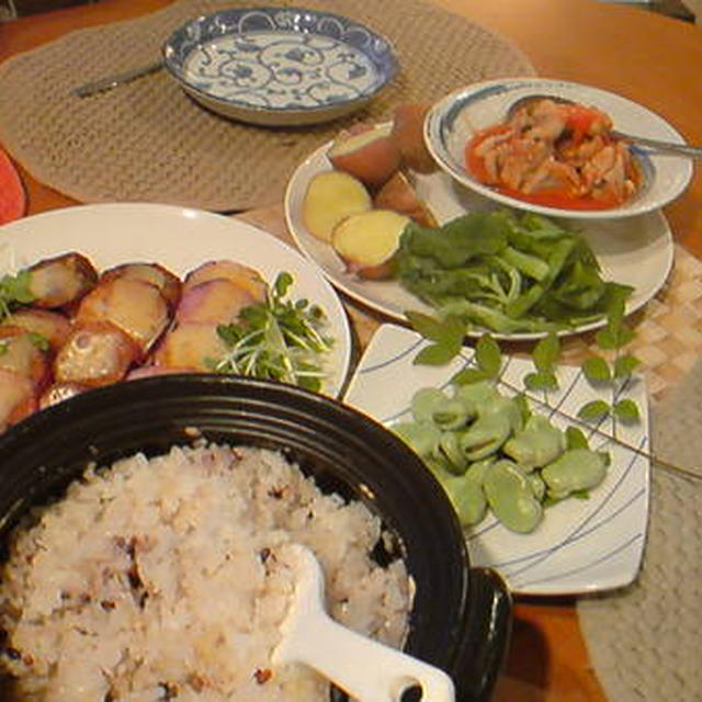 レン・チン♪簡単チキンのトマトソース煮込み