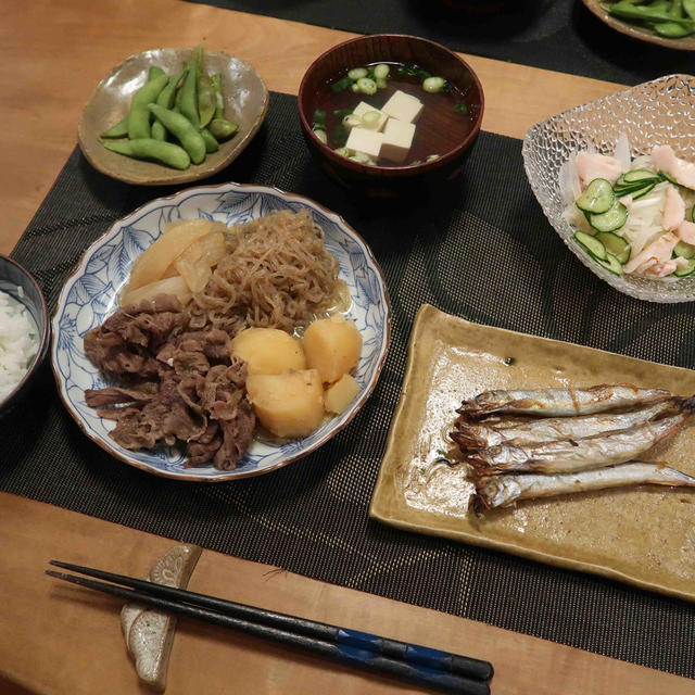 肉じゃがで”和”の晩ご飯　と　エキナセアグリーンジュエル♪