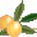 わかめのナムル