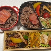 １時間寝坊で飛び起きて作った麻婆ナス弁当