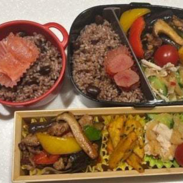 １時間寝坊で飛び起きて作った麻婆ナス弁当