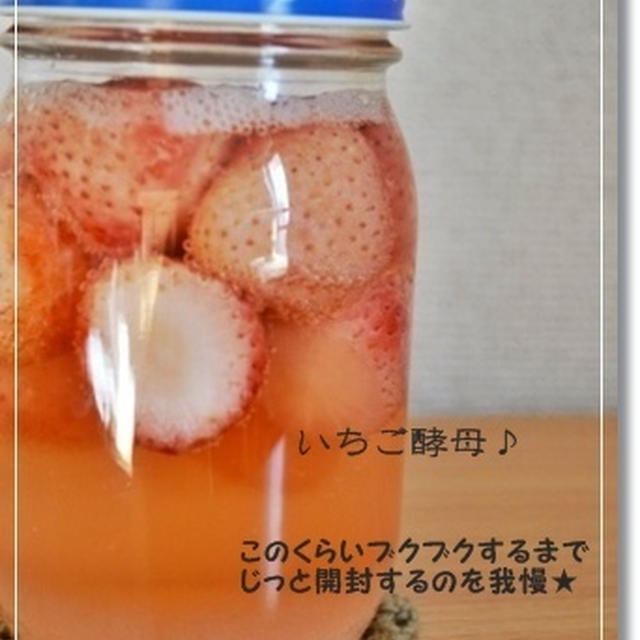 ウエダ家方式deいちご酵母ついでにレーズン酵母