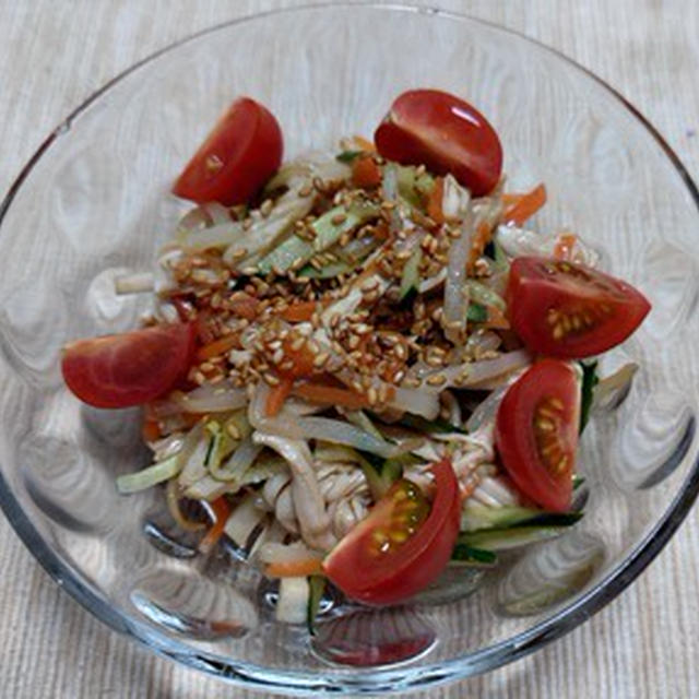 鶏むね肉と野菜の中華風サラダ