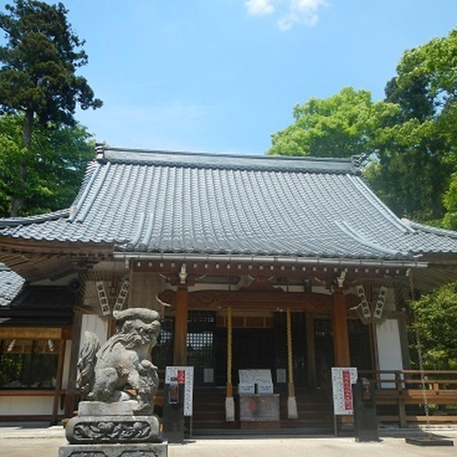 蕨のお礼と・・( ´艸｀)ムププ・・と賀茂神社