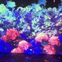 【動き出す浮世絵展】に行ってきました♪