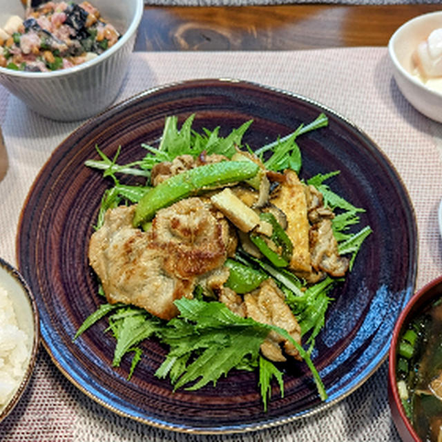 厚揚げと豚肉のピリ辛味噌炒め