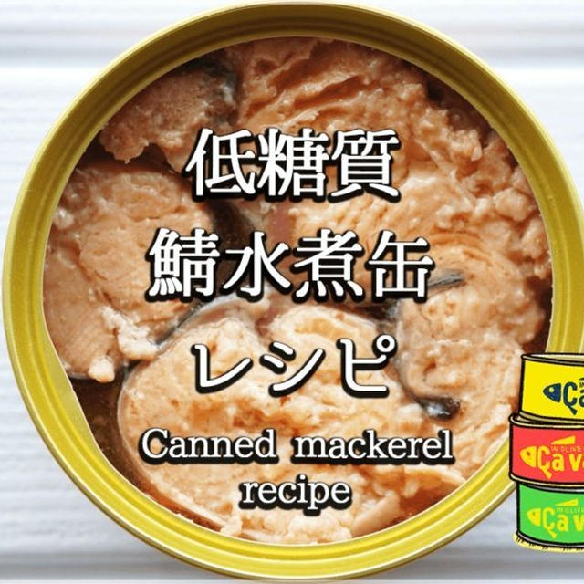 ダイエットに最強！低糖質で美味しい鯖水煮缶レシピ集(厳選33品)