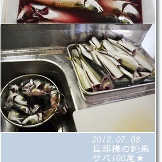 イレグイ！旦那様の釣果