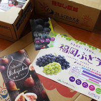 JA全農ふくれん 〜博多アスパラ、巨峰、いちじく