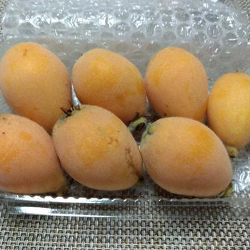 今年のはつもの