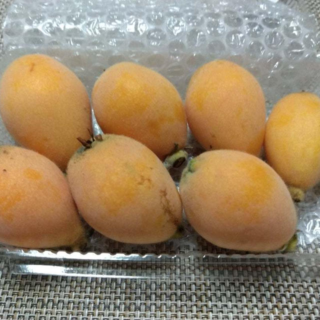 今年のはつもの