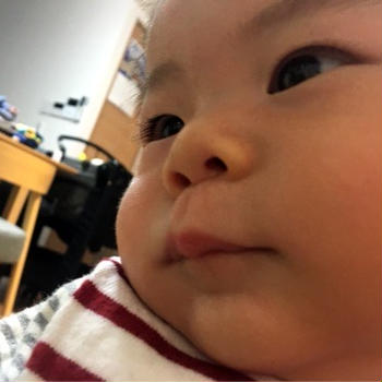 初投稿