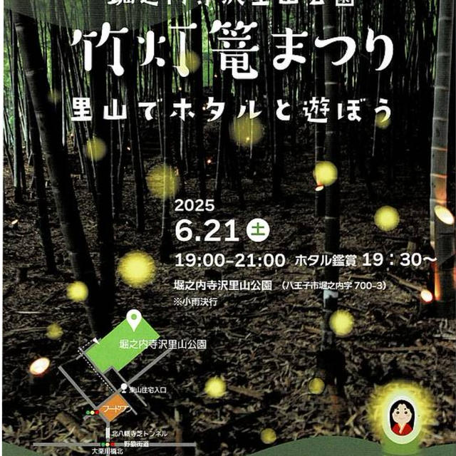 幻想的だった蛍鑑賞会