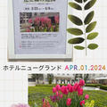 【お花見散策・2024】ホテルニューグランドの花と緑の庭園