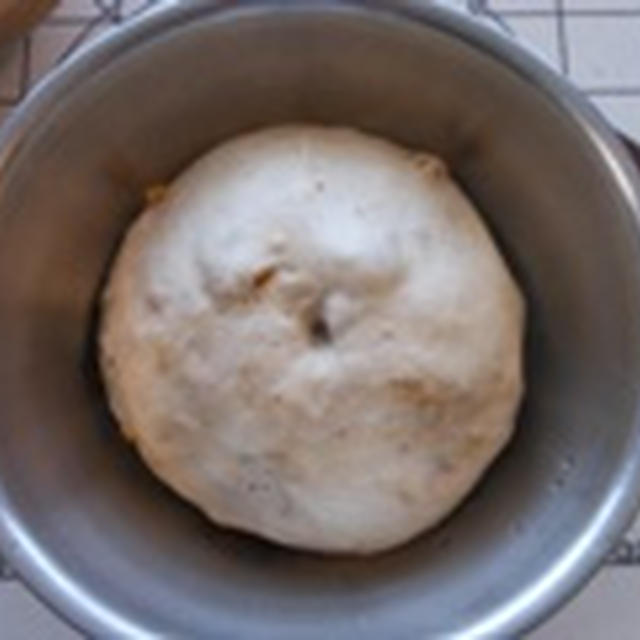 白神こだま酵母日記　***　無花果とくるみのカンパーニュ　***