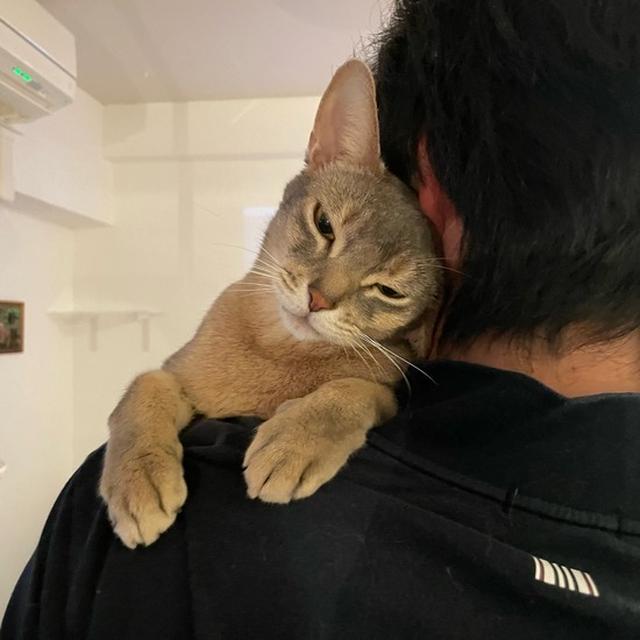 多分、ぼくちんは飼い主のことが大好き(*´ω`*)