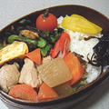 筑前煮弁当。すごい姿勢で眠るきなこ