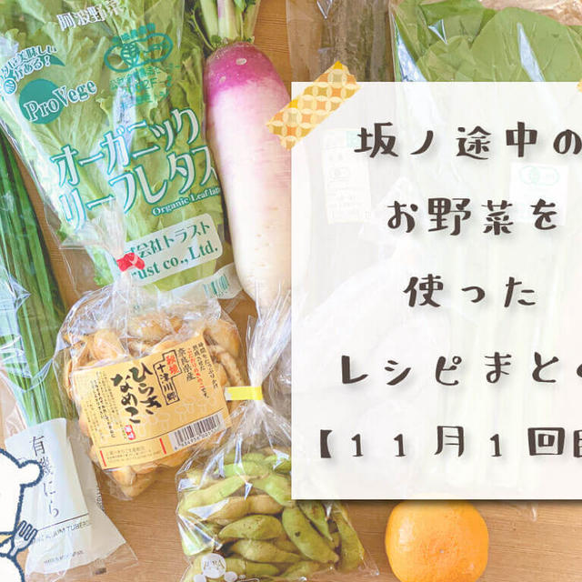 【野菜通販】「坂ノ途中」の野菜を使ったレシピまとめ【11月1回目】
