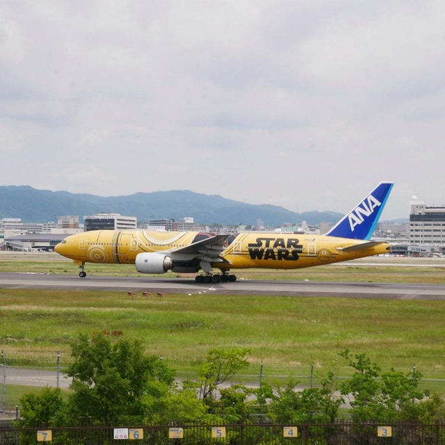 今日は飛行機の日