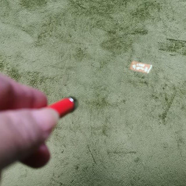 お気に入りのおもちゃ