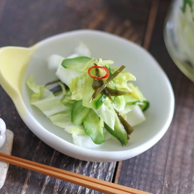 【レシピ】生姜入り白菜浅漬け｜塩分3％で作るシンプルなお漬物