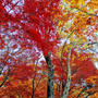 最上山 紅葉ツーリング