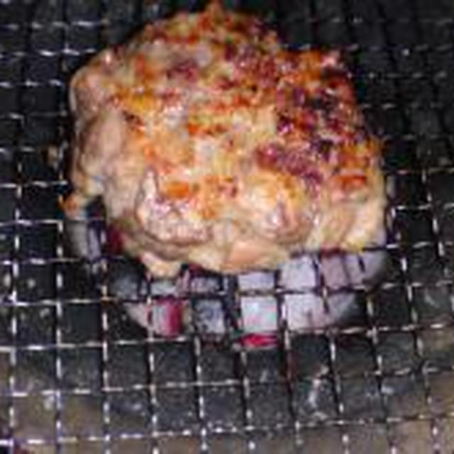 七輪ＤＥハンバーグ♪