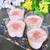 桜ブランマンジェ。和菓子のような風味ともっちり食感、混ぜながら加熱して冷やすだけの簡単スイーツ。