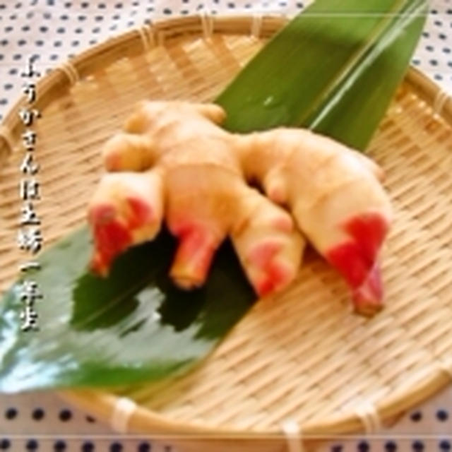 初夏限定♪新生姜の甘酢づけﾚｼﾋﾟ