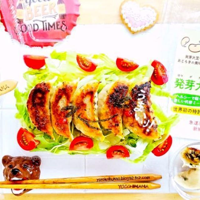 発芽大豆ミート餃子で簡単餃子弁当♪＆ヘルシーだから揚げ餃子付き♪しかも手包みなのよ～(@￣□￣@;)！！