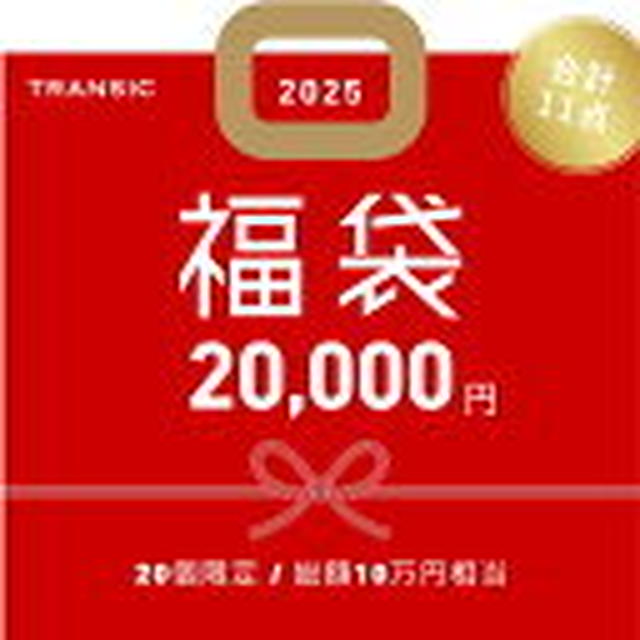 【 2025 福袋予約 | 豪華11点セット 】ビジネスバッグ トートバッグ 銀付大判トート …