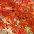 安土城跡の紅葉と茶室