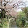 ☆2012 春の京都③：真如堂～金戒光明寺☆