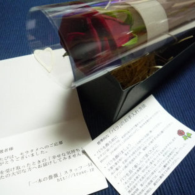 バレンタインにゎ１本の薔薇を・・・❤