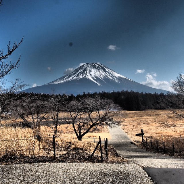 富士を見る(7）