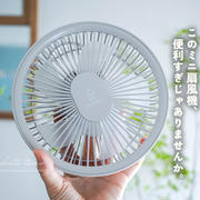 このミニ扇風機、便利すぎじゃありませんか。と、お買い得すぎた野菜