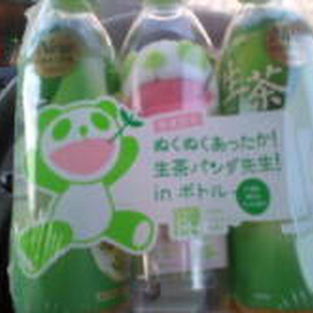 あったかパンダ先生♪