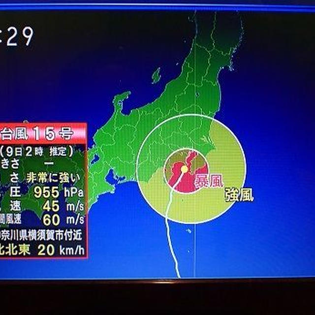 台風15号被害状況☆葉山農園（9月上旬）
