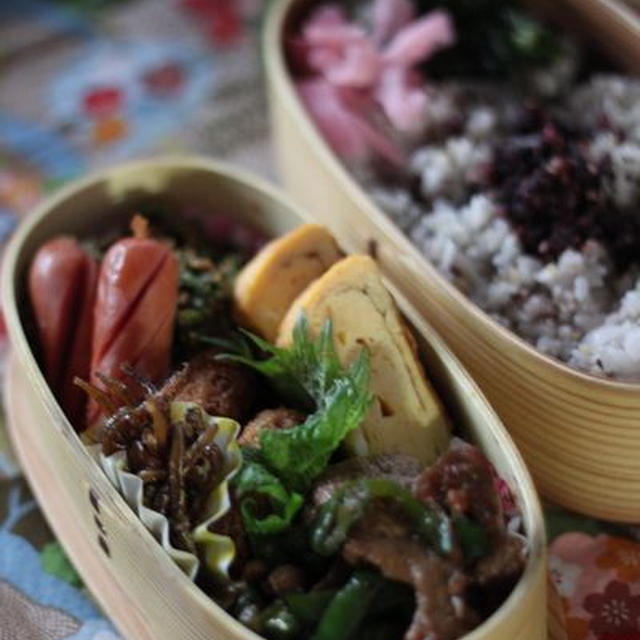 捨て弁☆行楽簡単♪いくら弁当なり＆いづぞやのお弁当＋ランチ