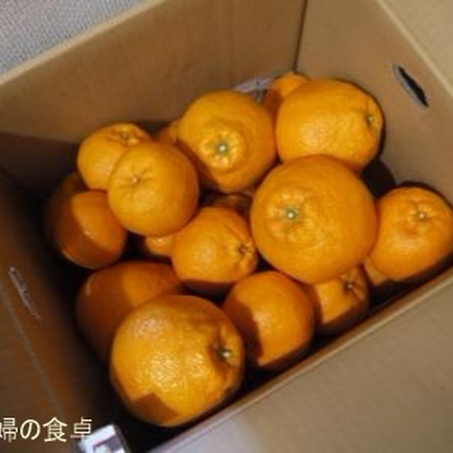 伊予柑ママレードでパン作り♪