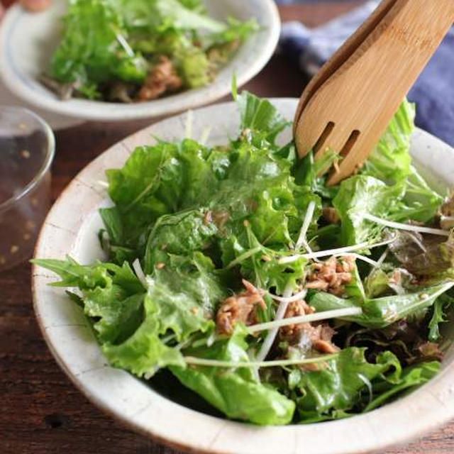 【レシピ】ツナドレッシングのグリーンサラダ