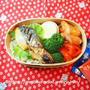 鰆の西京味噌漬けのお弁当