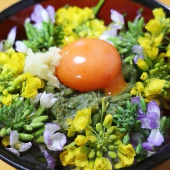 たたきワラビとお花のTKG～