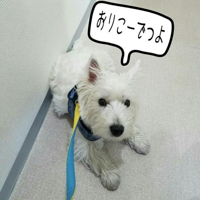 病院にて