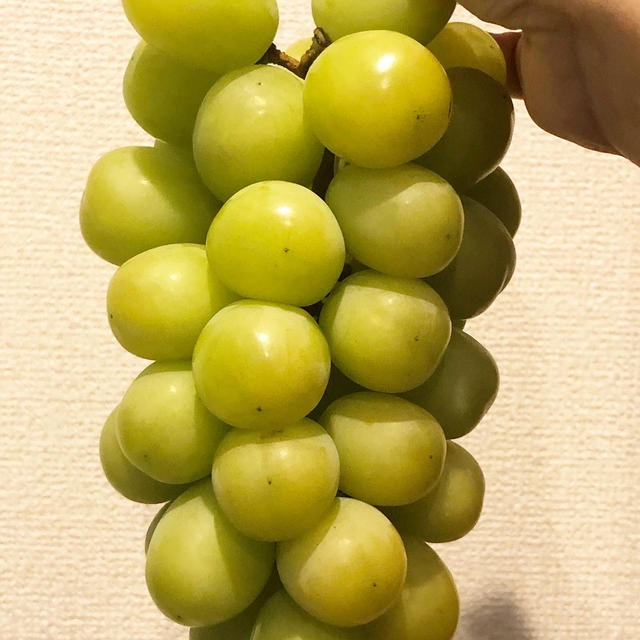 わぁー！⸜( ´ ꒳ ` )⸝♡︎おっき〜