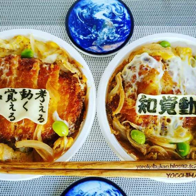知覚動考　かつ丼弁当♪♪