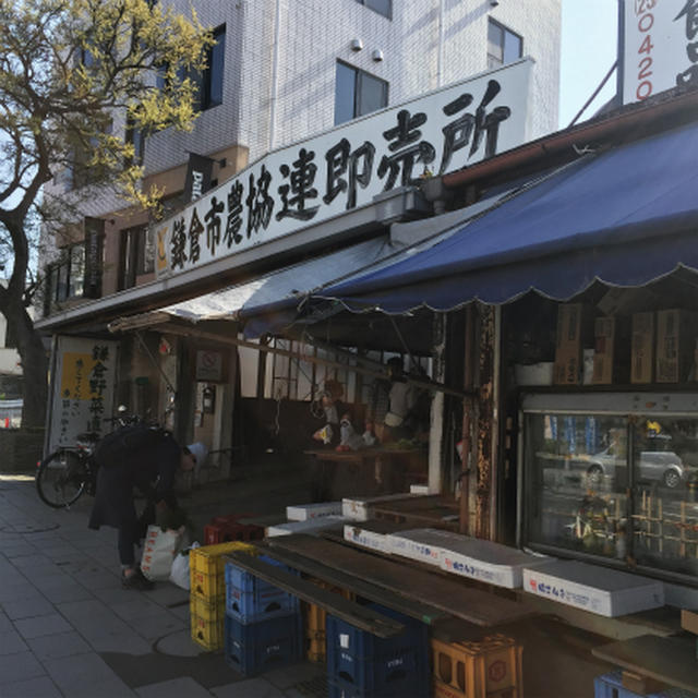 鎌倉に行ってきました