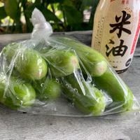 【米油×副菜】白きゅうりの簡単漬物