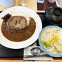 ハンバーグビーフカレーと生野菜を食べてみた 〜松屋〜