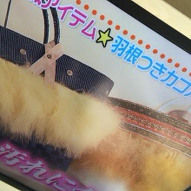 成城マダム　ファーバッグはここ